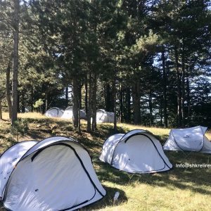 Forest Camping Qafshtama