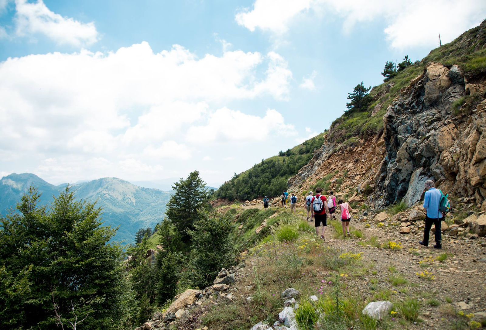Guided Forest Walk at Qafshtama